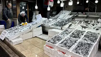 Bol Hamsi Avı, Fiyatlar Uygun!
