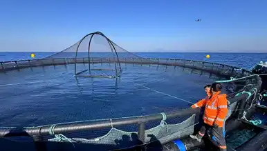 Hatay'dan Avrupa'ya Balık İhracatı Artıyor
