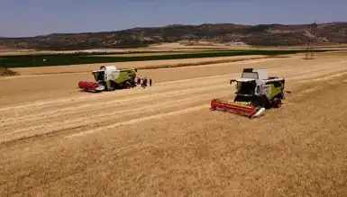 TMO'dan Yemlik Arpa ve Yulaf Satışı Başlıyor