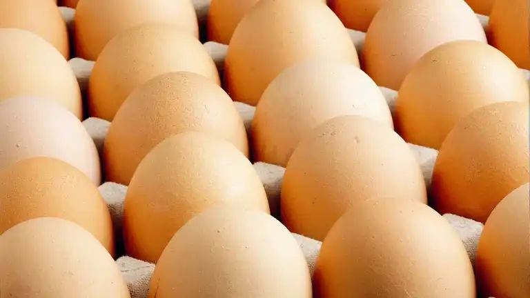 Aralık Ayında Fiyatlar: Yumurta Yükseldi, Uçak Biletleri Düştü Aralık Ayında Fiyatlar: Yumurta Yükseldi, Uçak Biletleri Düştü