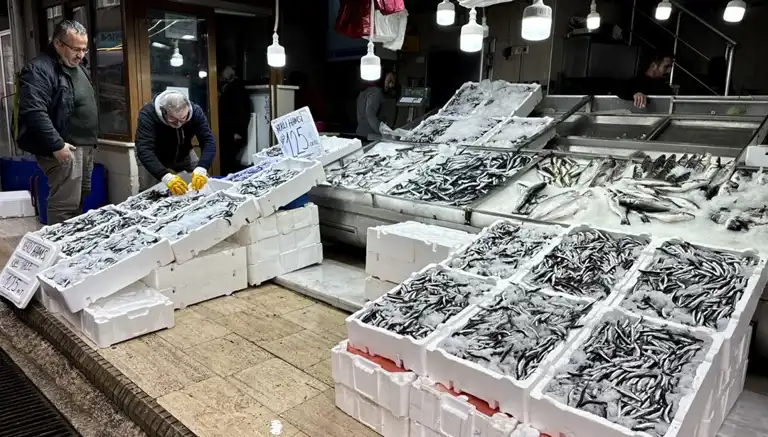 Bol Hamsi Avı, Fiyatlar Uygun!
